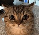 Discovery splash banner for Empty's HQ Discord server