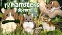 Discovery splash banner for r/hamsters Discord server