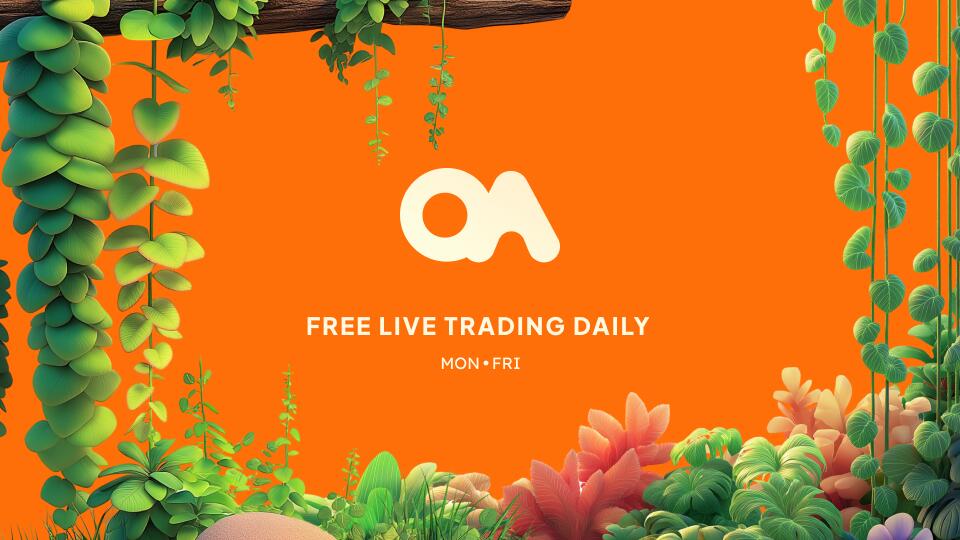 Discovery splash banner for ORANGUTAN ARMY Discord server