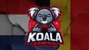 Discovery splash banner for KOALA Gaming ๐จ๐ฎ ๐ณ๐ฑ๐ง๐ช Discord server