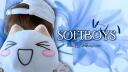Discovery splash banner for Softboys Discord server