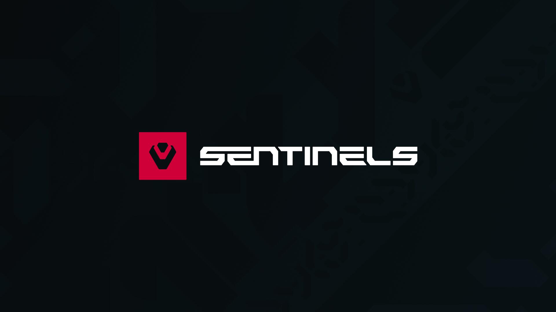 Discovery splash banner for Sentinels Discord server