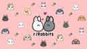 Discovery splash banner for Rabbitors Discord server