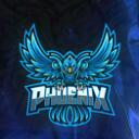 Discovery splash banner for PHOENIX Discord server