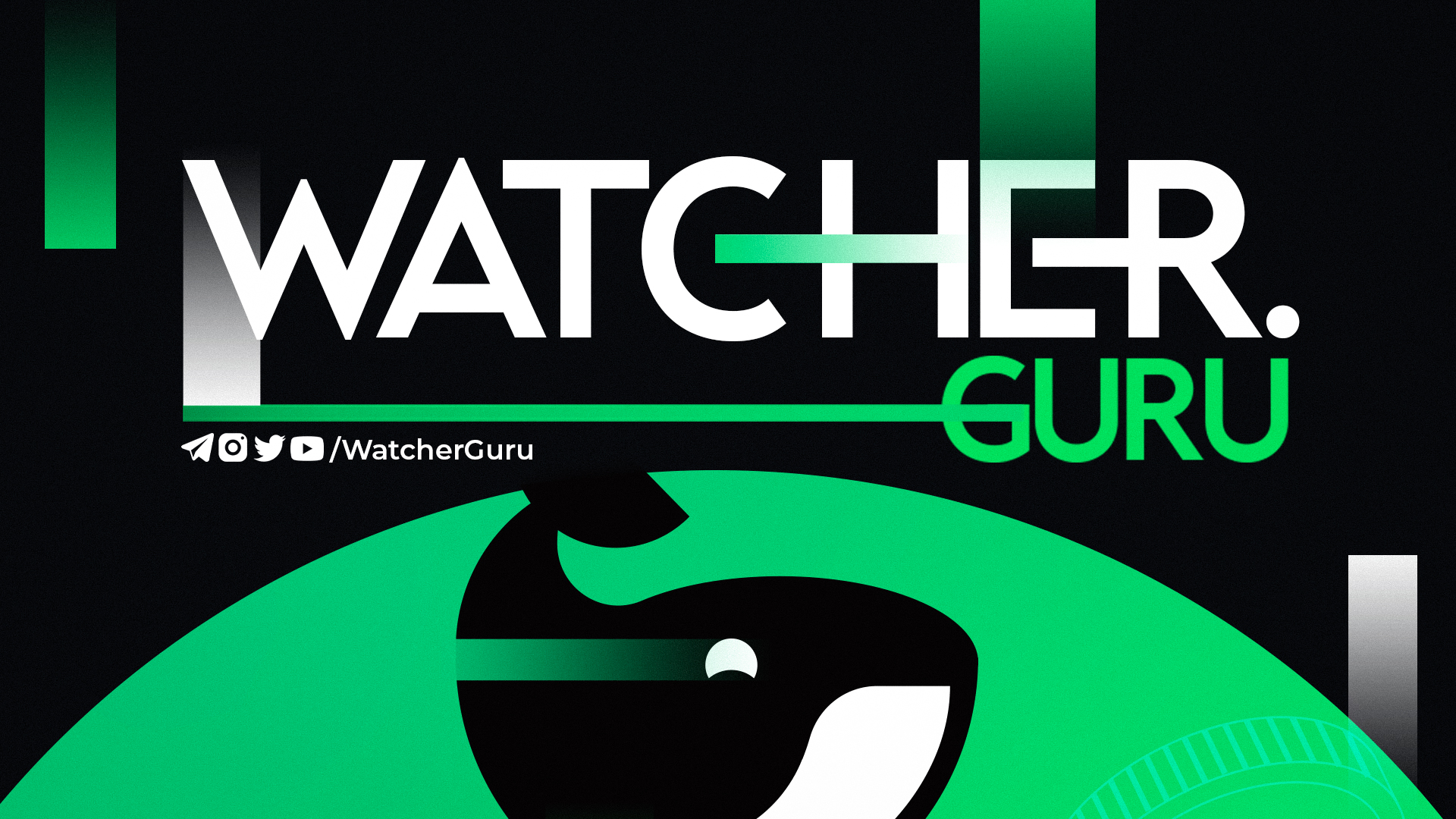 Discovery splash banner for Watcher Guru Discord server