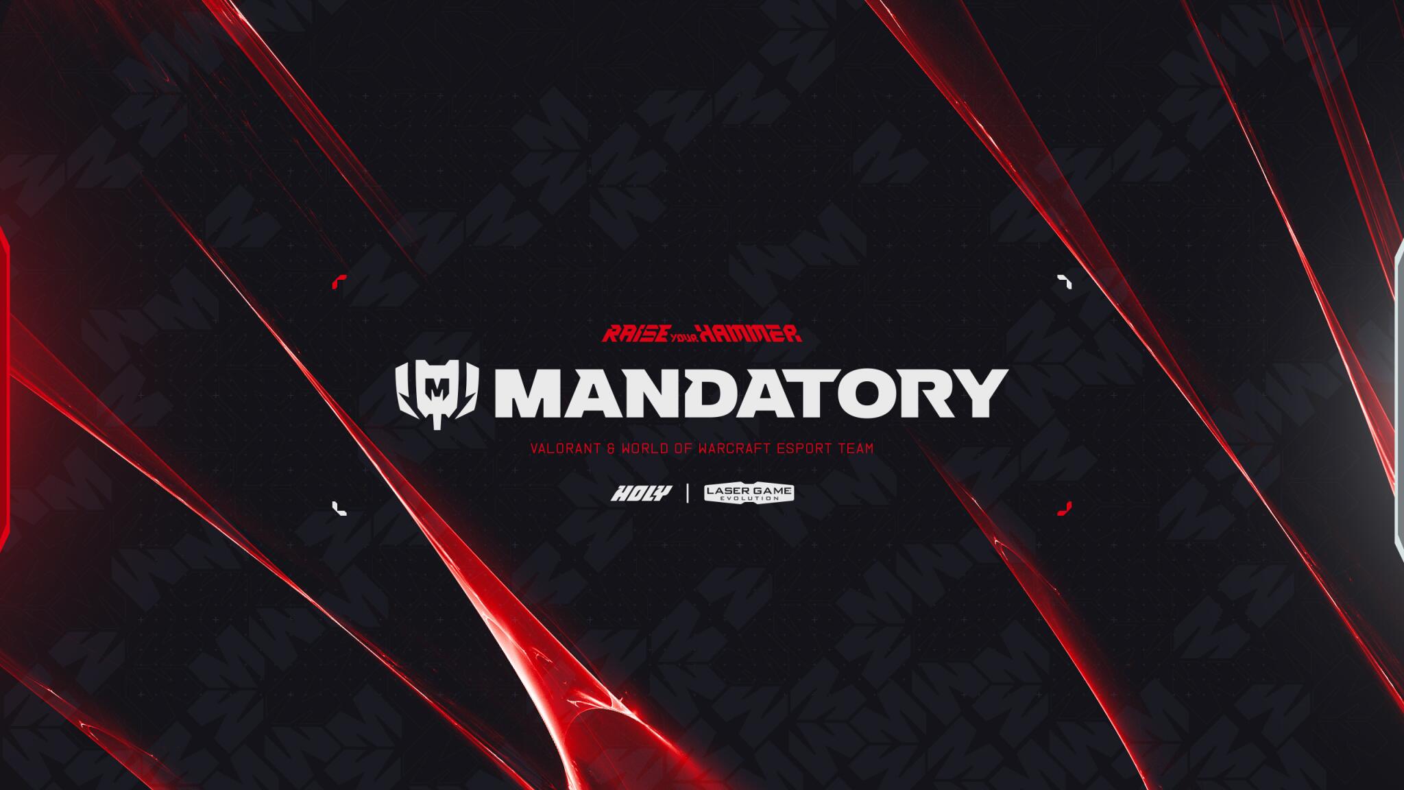 Discovery splash banner for Mandatory.GG Discord server