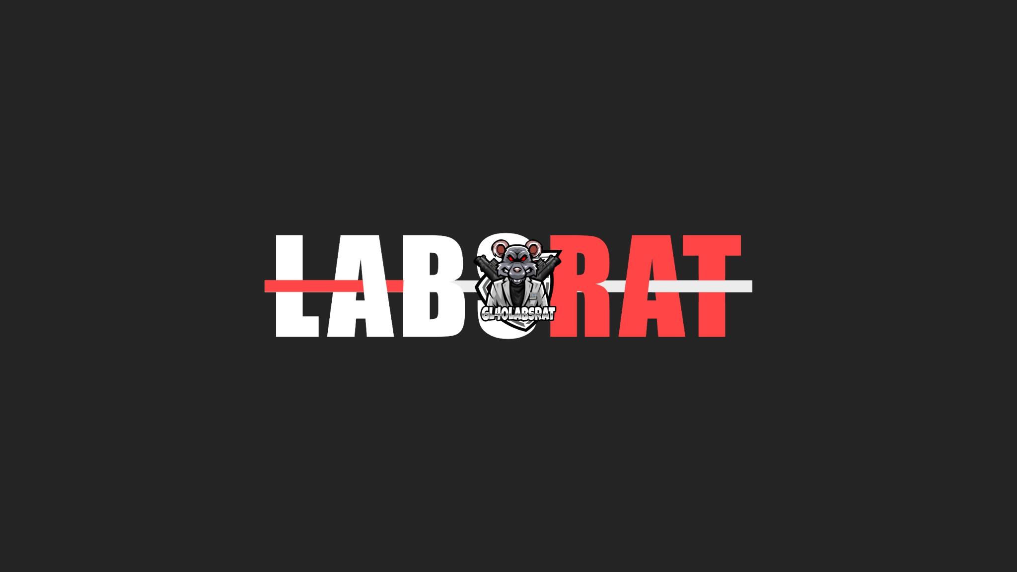 Discovery splash banner for GL40LabsRaT's Community Server Discord server