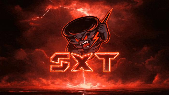 Discovery splash banner for StormT͢roopers .gg/sxt1 Discord server