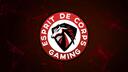 Discovery splash banner for Esprit De Corps Gaming Discord server