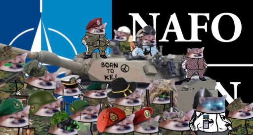 Discovery splash banner for we are NAFO Discord server