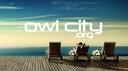 Discovery splash banner for Owl City Discord server