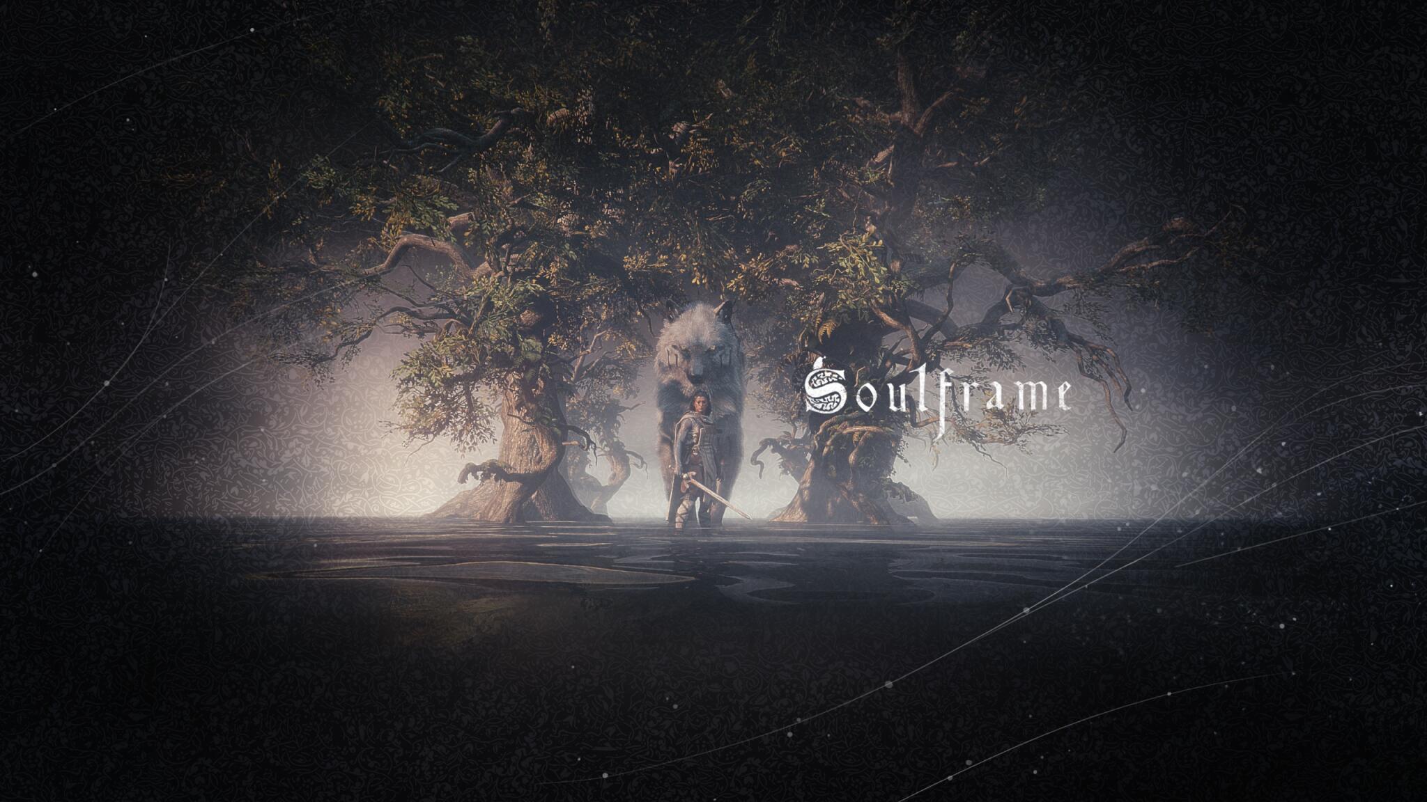 Discovery splash banner for Soulframe Discord server