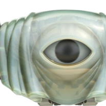 Discovery icon for Animal Hospital Roblox | Official Community Discord server