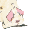 Discovery icon for Final Fantasy TCG (FFTCG) Discord server