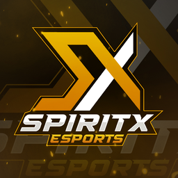Discovery icon for SPIRIT X ESPORTS Discord server