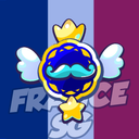 Discovery icon for © France Stumble Guys 🇫🇷 Discord server